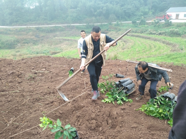 1573463728751010475.jpg 7.jpg